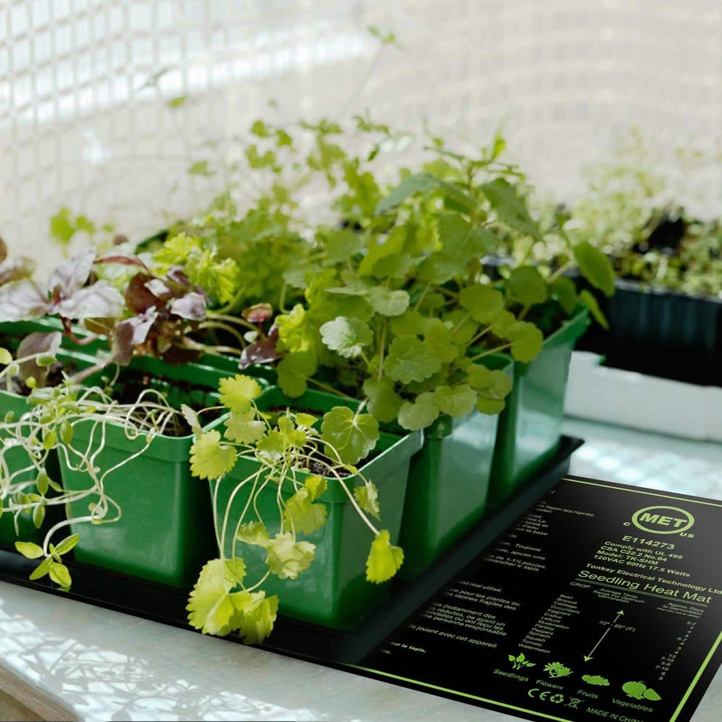 10" x 20" Seedling Heat Mat for Seed Germination