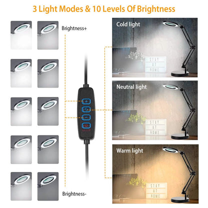 2-in-1 LED Magnifier Desk Lamp with 8x Magnifying Glass
