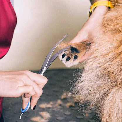 Gimars 6-in-1 Professional Stainless Steel Safety Pet Grooming Scissors